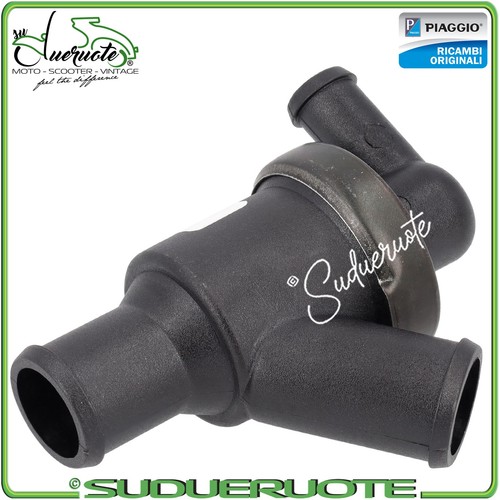 Termostato acqua per beverly - termostato,